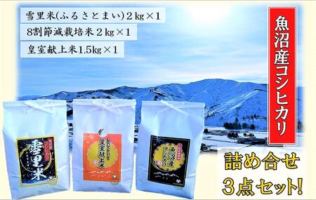 令和6年産 サンライス魚沼のお米  詰め合わせセット  精米（2kg×2・1.5kg×1）