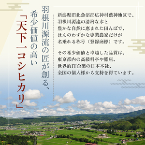 定期便 魚沼産 天下一コシヒカリ（商標）3kg 食べればわかります！全3