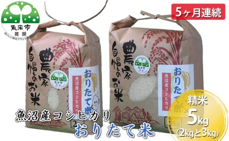 【定期便】魚沼産コシヒカリ おりたて米 精米5kg (2kg＋3kg) 5ヶ月連続 お米 5回 