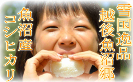 令和7年産【雪国逸品 精米2kg】越後魚沼郷 魚沼産コシヒカリ お米 人 自然調和 ミネラル 奇跡 自然環境 努カ 香り つや 粘り 極上
