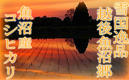 令和7年産【雪国逸品 精米2kg】越後魚沼郷 魚沼産コシヒカリ お米 人 自然調和 ミネラル 奇跡 自然環境 努カ 香り つや 粘り 極上