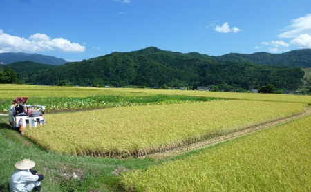 濁り酒「万季」1800ｍl お酒 日本酒 にごり酒 魚沼産 コシヒカリ 惣五郎 フルーティー 