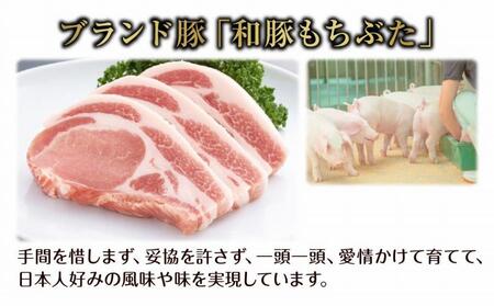 和豚 もちぶた つるし焼豚 250g×2袋 国産 豚肉 チャーシュー しっとり 冷凍 ポーク 焼き豚 湯せん 簡単 おかず お惣菜 おつまみ お取り寄せ グルメ 肉の片山 送料無料 新潟県 南魚沼市
