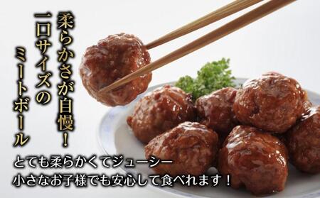 和豚 もちぶた ミートボール 2種 食べ比べ 各160g×2袋 計4袋 ミートソース デミグラス もちぶた100%使用 国産 豚肉 ポーク 冷凍 手軽 おかず 肉の片山 送料無料 新潟県 南魚沼市