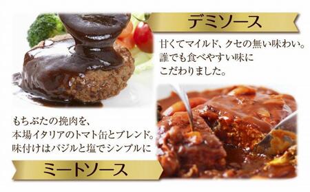 和豚 もちぶた ハンバーグ 煮込み&チーズ 4種  2個入×各1袋 ミートソース デミグラス チーズ もちぶた100%使用 豚肉 ポーク 手軽 レトルト 冷凍 肉の片山 送料無料 新潟県 南魚沼市