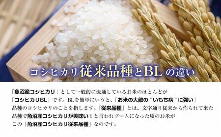 特別栽培米】南魚沼産 コシヒカリ 2kg ×4袋 計8kg いなほ新潟 農家の