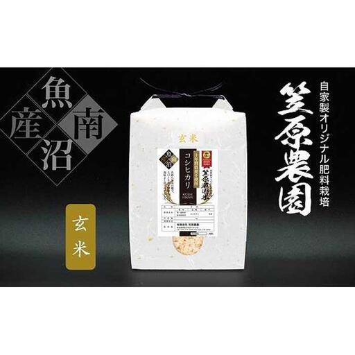 【令和７年産】南魚沼産 笠原農園米 十年間農薬不使用コシヒカリ玄米 2kg
