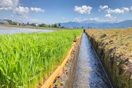 新潟県南魚沼市の豊かな自然が育んだ、極上のコシヒカリ　5kg