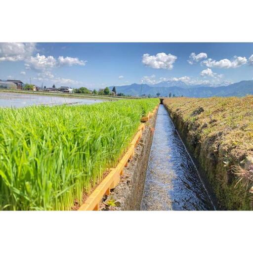 新潟県南魚沼市の豊かな自然が育んだ、極上のコシヒカリ 5kg