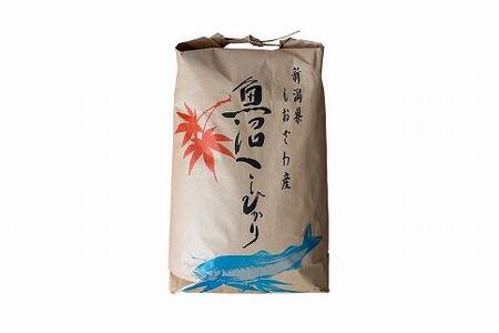 南魚沼産　塩沢コシヒカリ　精米30kg(10kg×3袋)
