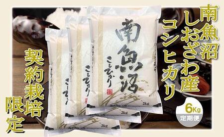 【令和7年産】【定期便 精米６Kg×９ヶ月】契約栽培限定 南魚沼しおざわ産コシヒカリ