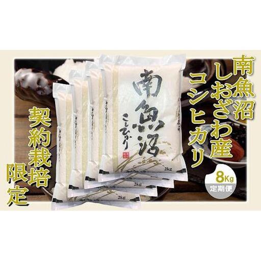 【令和7年産】【定期便 精米８Kg×３ヶ月】契約栽培限定 南魚沼しおざわ産コシヒカリ【2025年10月上旬より順次発送予定】