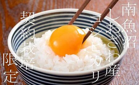 【令和7年産】【精米4Kg】契約栽培限定 南魚沼しおざわ産コシヒカリ