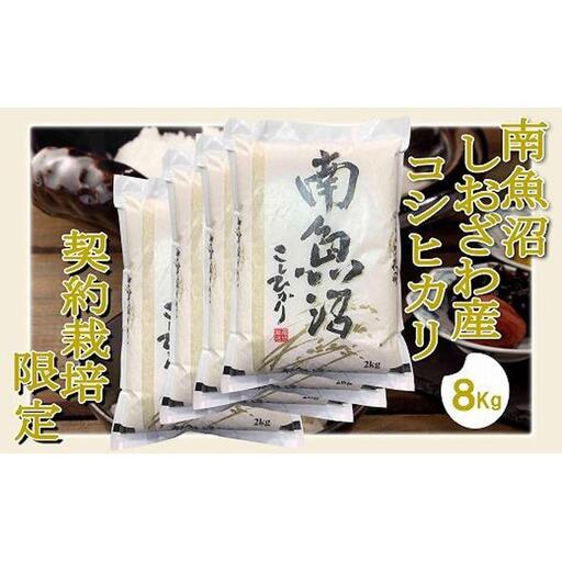 【令和7年産】【精米8Kg】契約栽培限定 南魚沼しおざわ産コシヒカリ