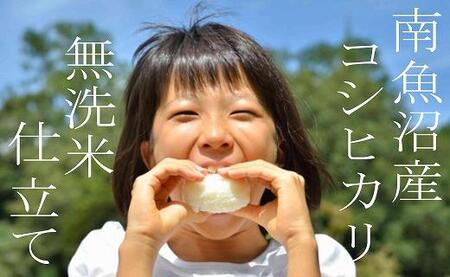 【令和7年産】【無洗米5Kg】吟精  南魚沼産コシヒカリ