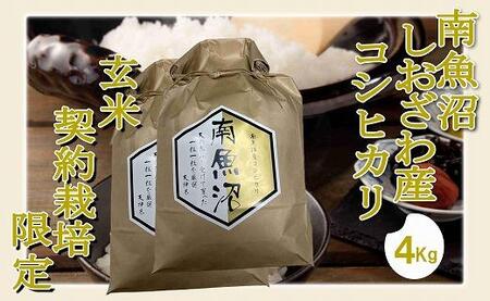 【令和7年産】【玄米４Kg】●玄米● 生産者限定 南魚沼しおざわ産コシヒカリ