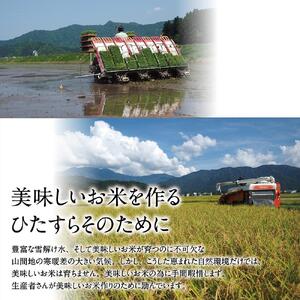 【定期便６回】JAみなみ魚沼　特別栽培米　南魚沼産こしひかり２ｋｇ×１【高島屋選定品】