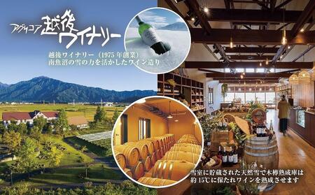 ドメーヌ・越後メルロー  赤 750ml 2本セット アグリコア  越後ワイナリー  南魚沼市産メルロー 辛口 ミディアムボディ アルコール度数12% 魚沼ワイン 国産 送料無料 新潟県 南魚沼市