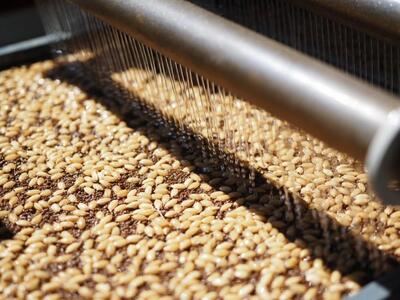 【令和7年産】【定期便 南魚沼産】コシヒカリ 白米2kg×6回