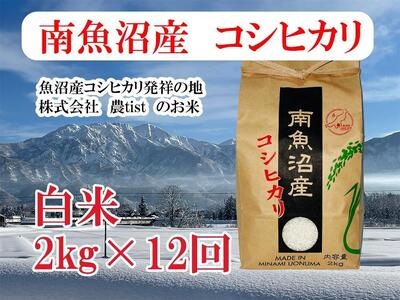 【定期便 南魚沼産】コシヒカリ 白米2kg×12回