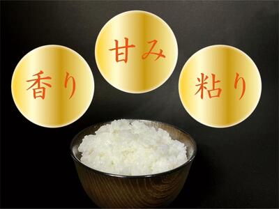 【令和7年産】【南魚沼産】コシヒカリ 白米3kg