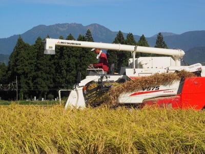 【令和7年産】【南魚沼産】コシヒカリ 白米5kg【2025年9月中旬より順次発送予定】