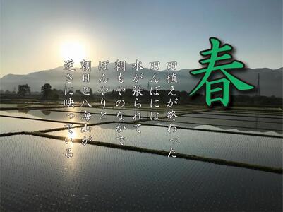 【令和7年産】【南魚沼産】コシヒカリ 白米5kg【2025年9月中旬より順次発送予定】