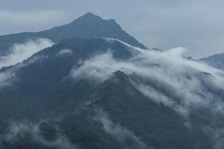 【定期便】「貝瀬農園米」農薬5割減栽培　南魚沼塩沢産コシヒカリ　無洗米5kg×全6回