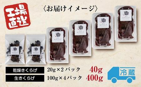 国産 生 きくらげ 100g×4パック 計400g 乾燥 きくらげ 20g×2パック 計40g 小分け 栄養豊富 無農薬 無添加 オーガニック  自家栽培 雪国 魚沼ゆきくらげ キクラゲ 木耳 きのこ キノコ ビタミンＤ 肉厚 健康 食品 食物繊維 佃煮 歯ごたえ 菌床 食感 高品質 送料無料