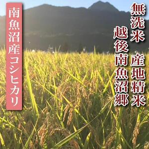 【令和7年産】【無洗米5Kg】越後南魚沼郷 南魚沼産コシヒカリ