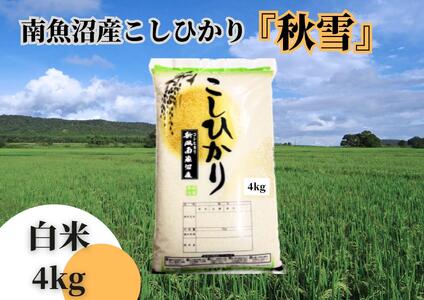 【令和6年産 新米 全12回定期便】南魚沼産コシヒカリ「秋雪」白米4kg×12回 新潟県の特A地区南魚沼市の美味しいお米