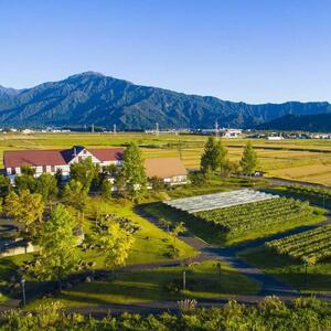 越後ワイン 雪季 赤・白 750ml　2本セット