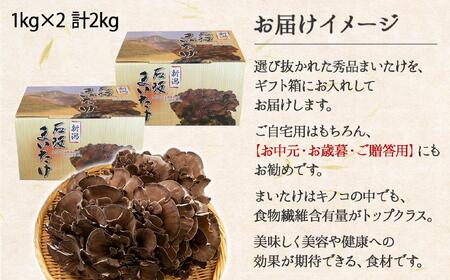 新潟県 南魚沼産 厳選 国産 石坂 高級 舞茸 まいたけ 産地直送 1kg ×2箱 計2kg 石坂きのこ