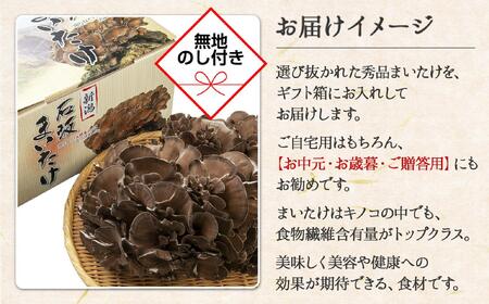 【無地のし】 新潟県 南魚沼産 厳選 国産 石坂 高級 舞茸 まいたけ 産地直送 1kg 贈り物 ギフト お中元 お歳暮 石坂きのこ
