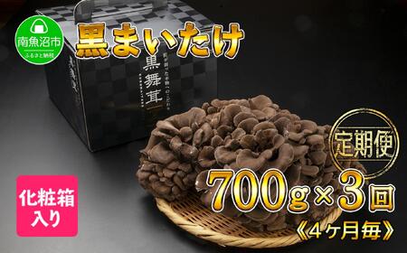 【定期便 全3回】 新潟県 南魚沼産 厳選 国産 黒 高級 舞茸 まいたけ 産地直送 700g 大平きのこ研究所