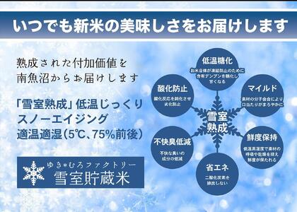 無洗米【定期便5kg×12回】雪室貯蔵米 南魚沼産コシヒカリ