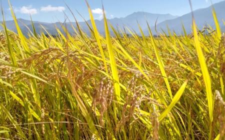 令和7年産「五つ星お米マイスター」の南魚沼産コシヒカリ 精米2kg