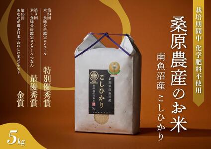 【R7年産】最優秀賞受賞【8割減農薬】最高峰南魚沼産こしひかり5kg　桑原農産のお米(精米)