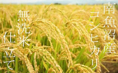 【令和7年産】定期便６ヶ月：無洗米２Kg 南魚沼産コシヒカリ