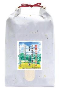 【新米予約・令和6年産】巻機山プリンセス「ネオニコフリー米」極良食味高温耐性品種にじのきらめき白米10kg標高三百米「農薬不使用」