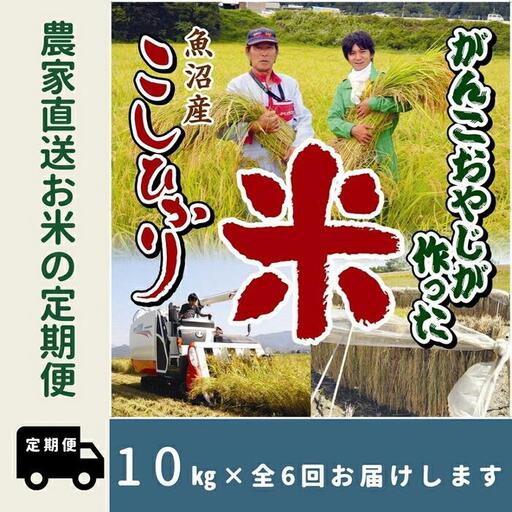 【令和７年産】6か月定期便　がんこおやじが作った南魚沼産コシヒカリ白米10kg（5kg×2袋）