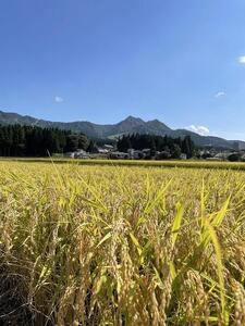 南魚沼塩沢産　従来型コシヒカリ　白米５ｋｇ×６回（定期便）