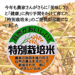 令和7年度産 新潟県南魚沼産コシヒカリ 特別栽培米 白米 2kg