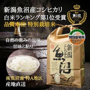 令和7年度産 新潟県南魚沼産コシヒカリ 特別栽培米 白米 6kg