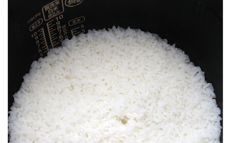 玄米全粒粉が奏でるひとさじの魔法 300g×5