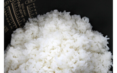 玄米全粒粉が奏でるひとさじの魔法 300g×5