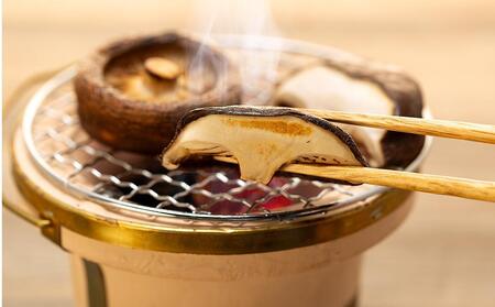 【家庭用】厚いにもほどがある「八色しいたけ」1.5kg（250g×6袋）訳あり 不ぞろい 農家応援