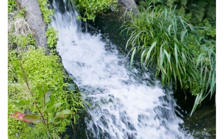 【R7年産】南魚沼産コシヒカリ精米2kg 山本家【従来品種】