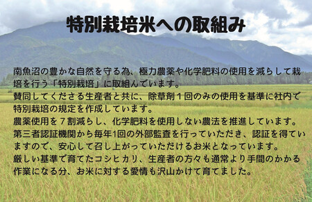 【令和7年産】【定期配送】南魚沼産コシヒカリ特別栽培米 白米 10kg 全12回【2025年10月上旬より順次発送予定】