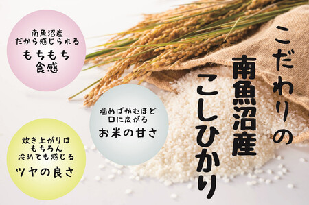 【令和7年産米】南魚沼産コシヒカリ 白米 5kg